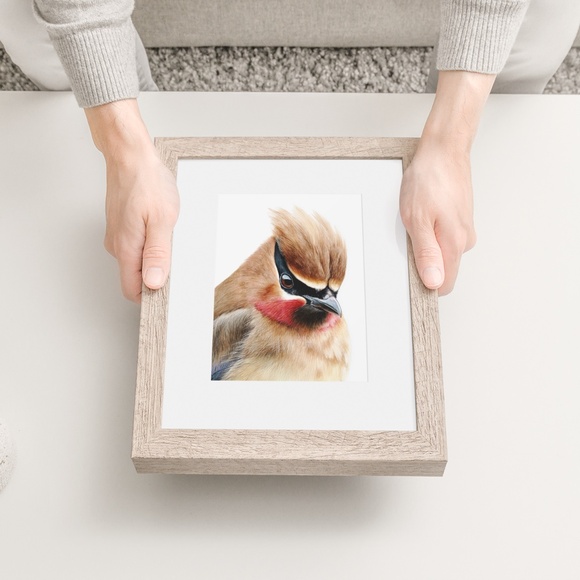 Watercolor Cedar Waxwing Bird Portrait Wall Art Print, Unframed - Vibrant Nature - Picture 6 of 7